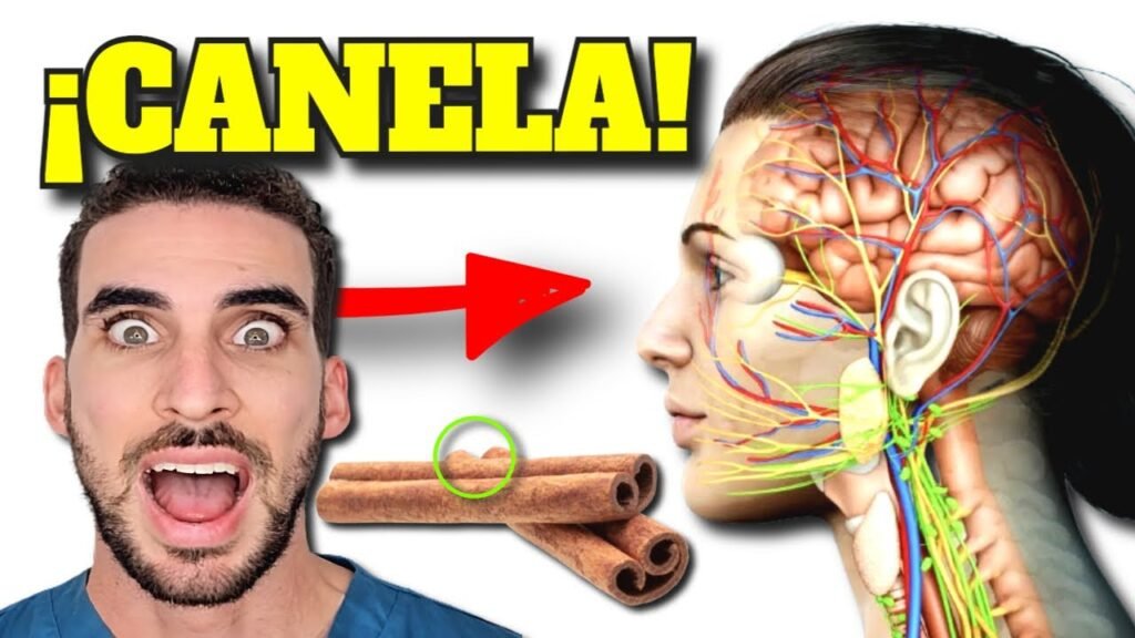 Todo lo que debes saber sobre el uso del canela en la cocina