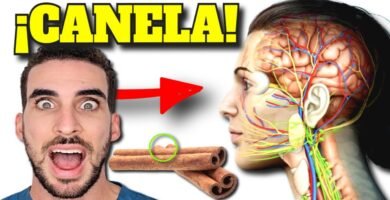 Todo lo que debes saber sobre el uso del canela en la cocina