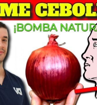 Todo lo que debes saber sobre el uso del cebolla en la cocina
