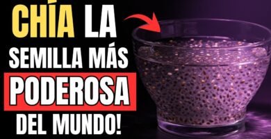 Todo sobre la tendencia chia en el mundo gastronómico