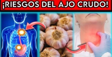 ¿Con qué no se debe mezclar la ajo?