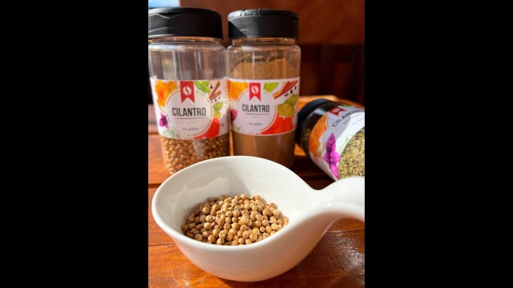 ¿Qué especias combinan mejor con cilantro?