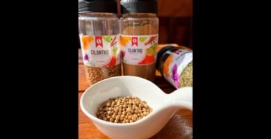 ¿Qué especias combinan mejor con cilantro?