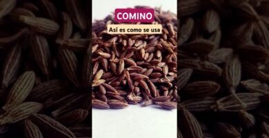 Errores comunes al usar comino y cómo evitarlos