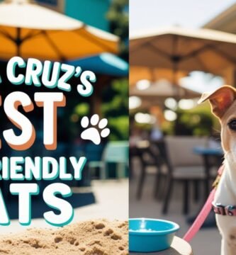 Restaurantes pet-friendly en Santa Cruz