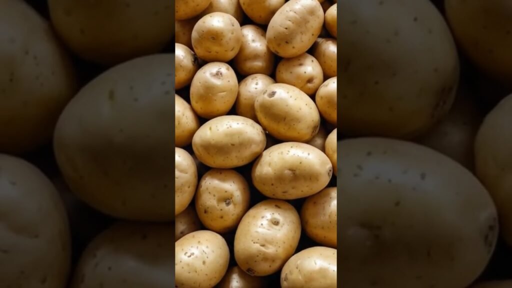 ¿Vale la pena curar papas? Descúbrelo aquí