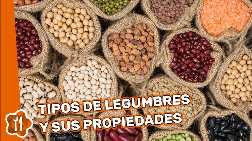 ¿Vale la pena hornear legumbres? Descúbrelo aquí